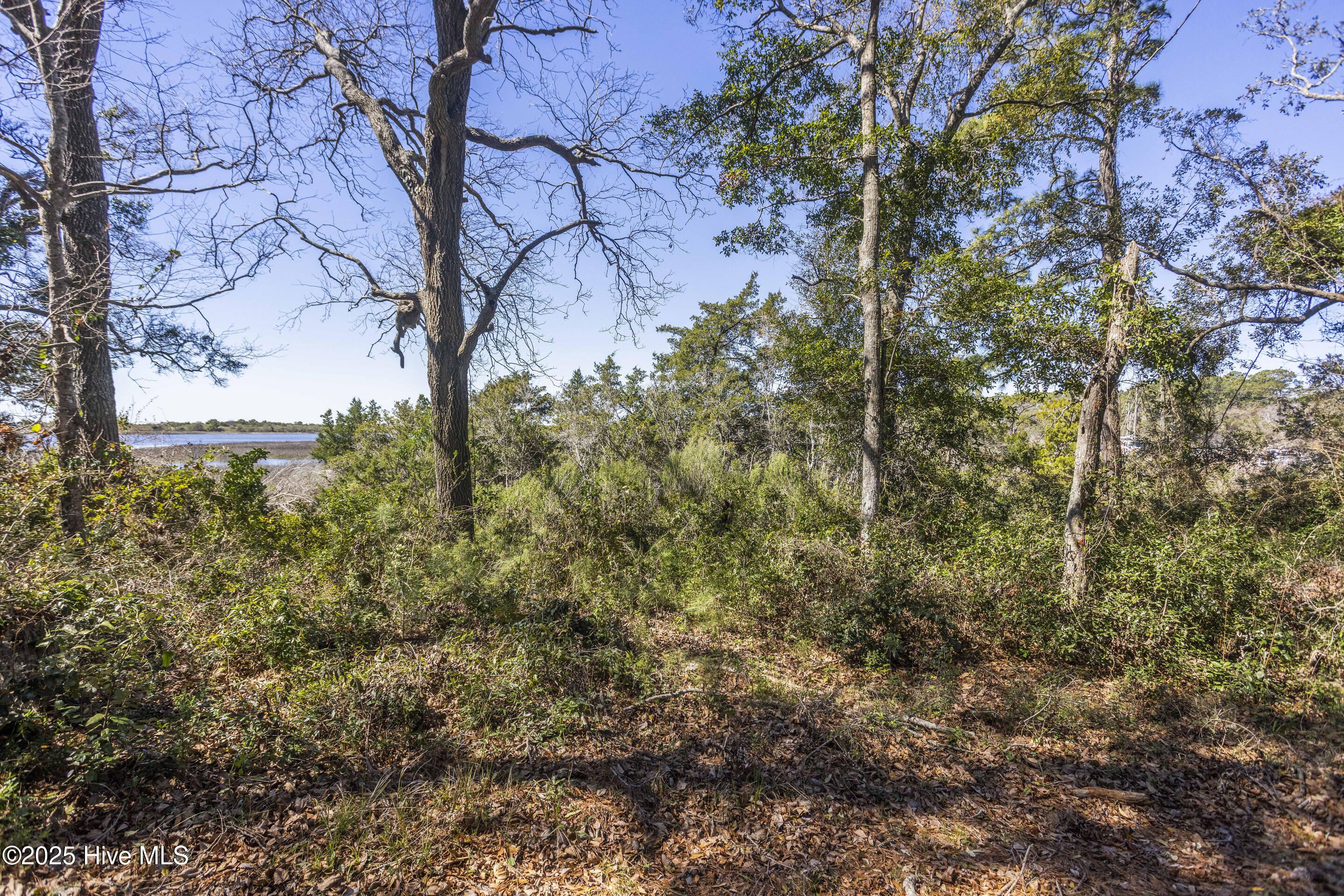 1&2 Shoreline Drive Property Photo 15