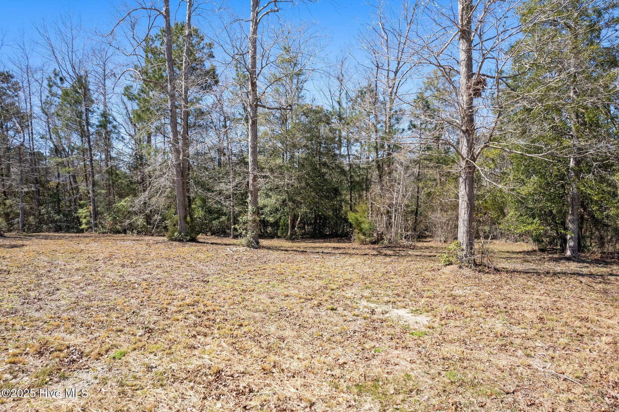 637 Squirrel Run Drive Property Photo 11