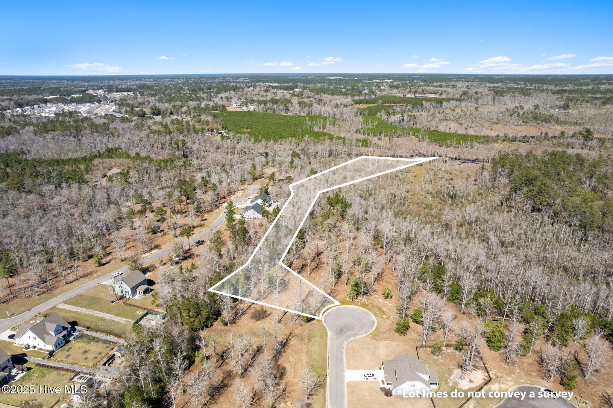 637 Squirrel Run Drive Property Photo 12
