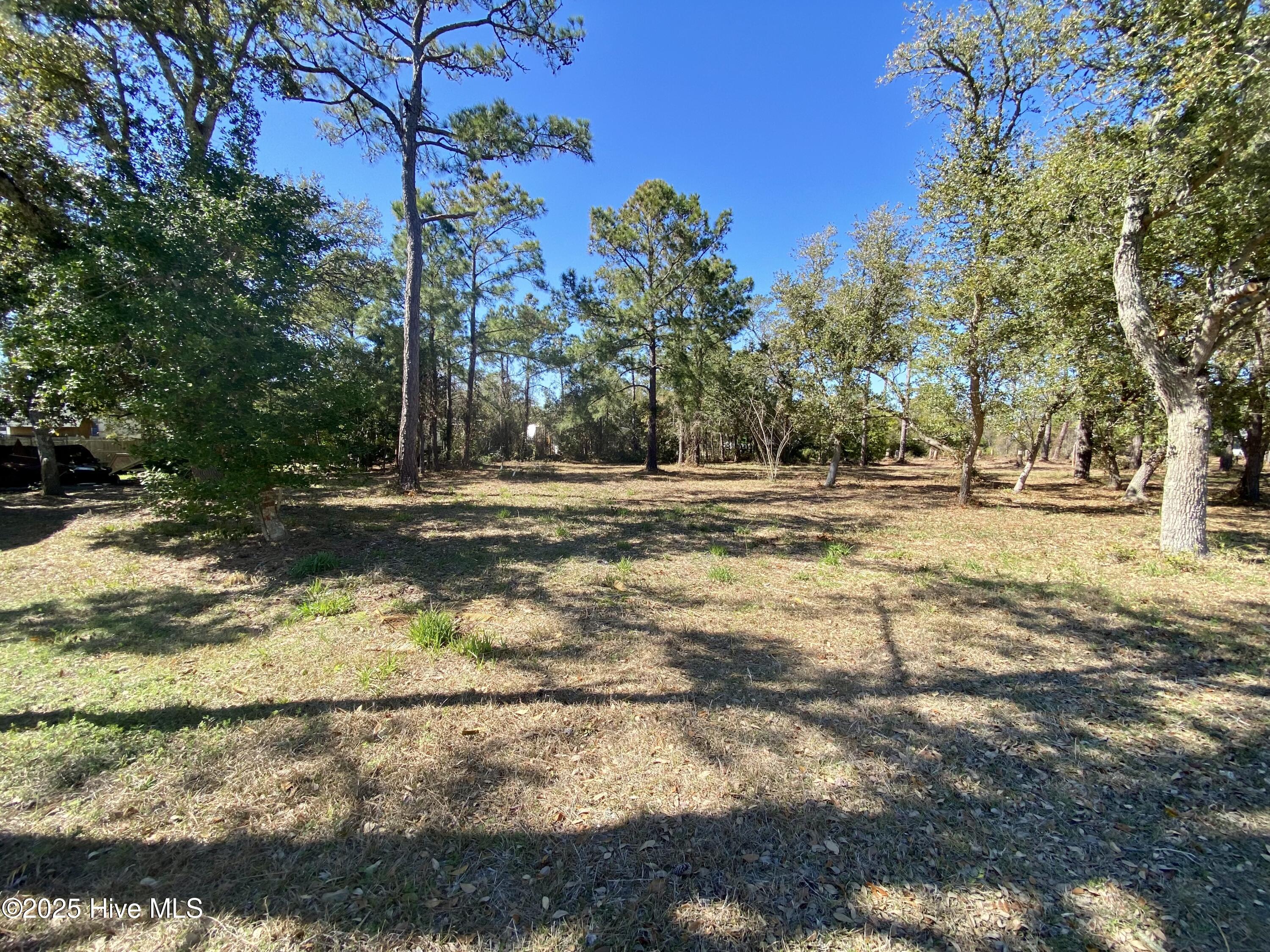 123 & 137 George Rose Lane Property Photo 4