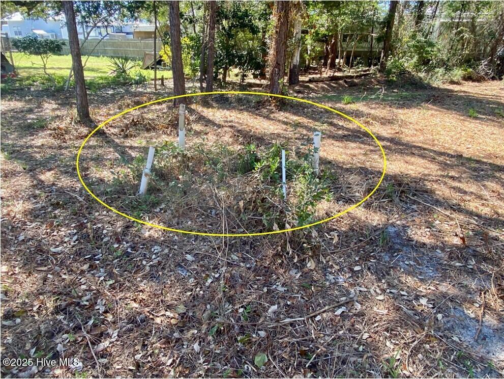 123 & 137 George Rose Lane Property Photo 5