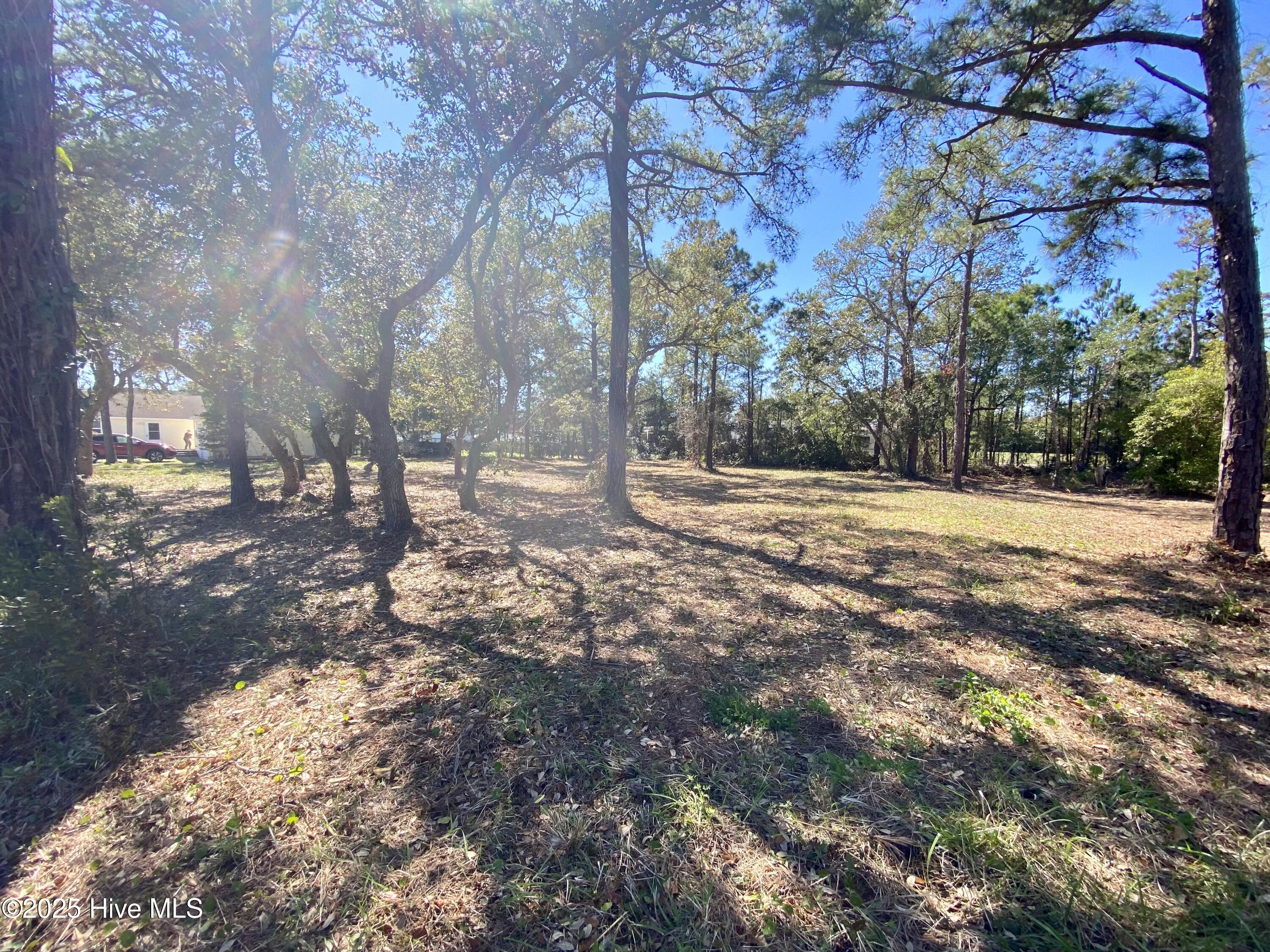 123 & 137 George Rose Lane Property Photo 6