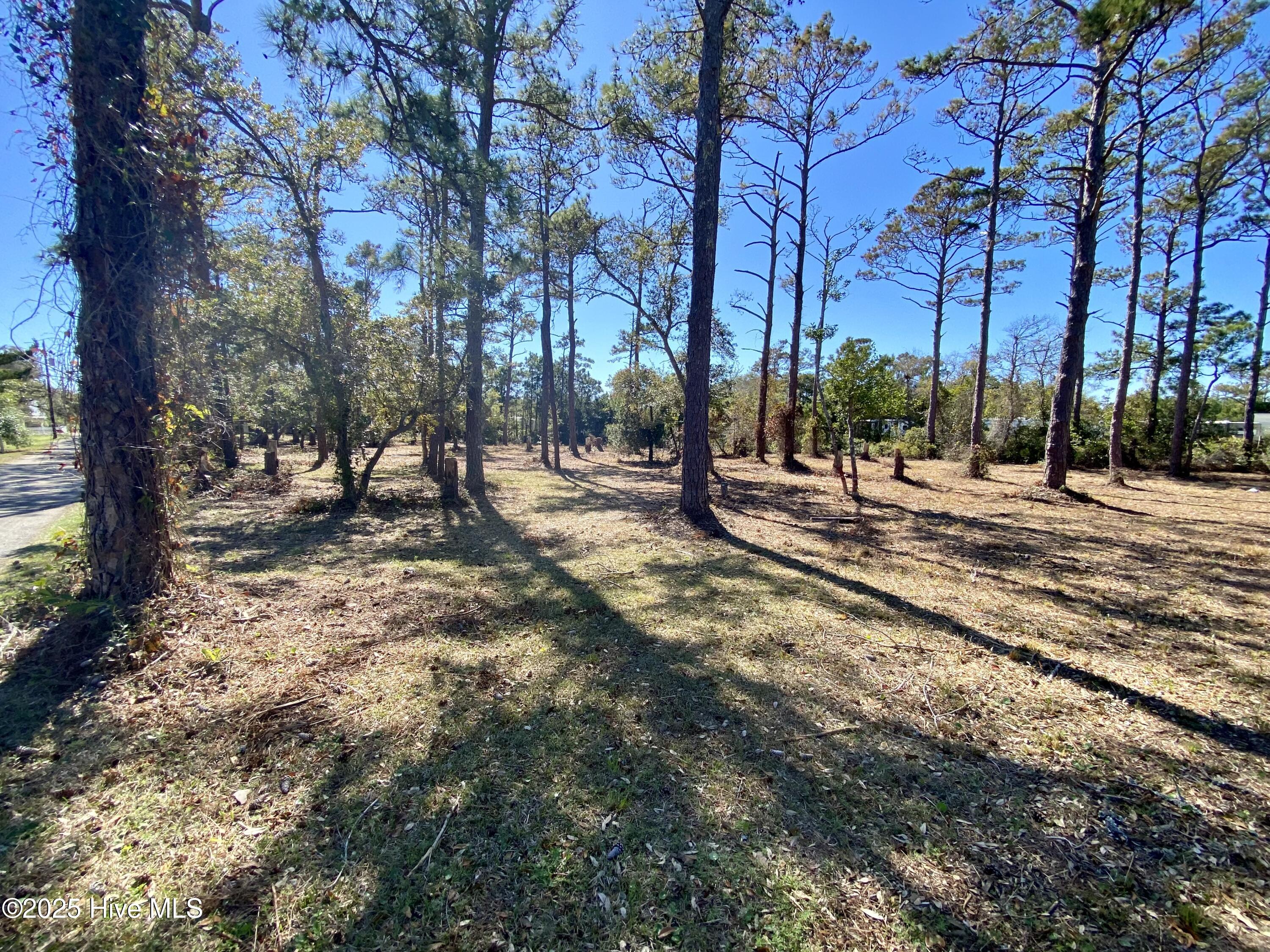123 & 137 George Rose Lane Property Photo 8