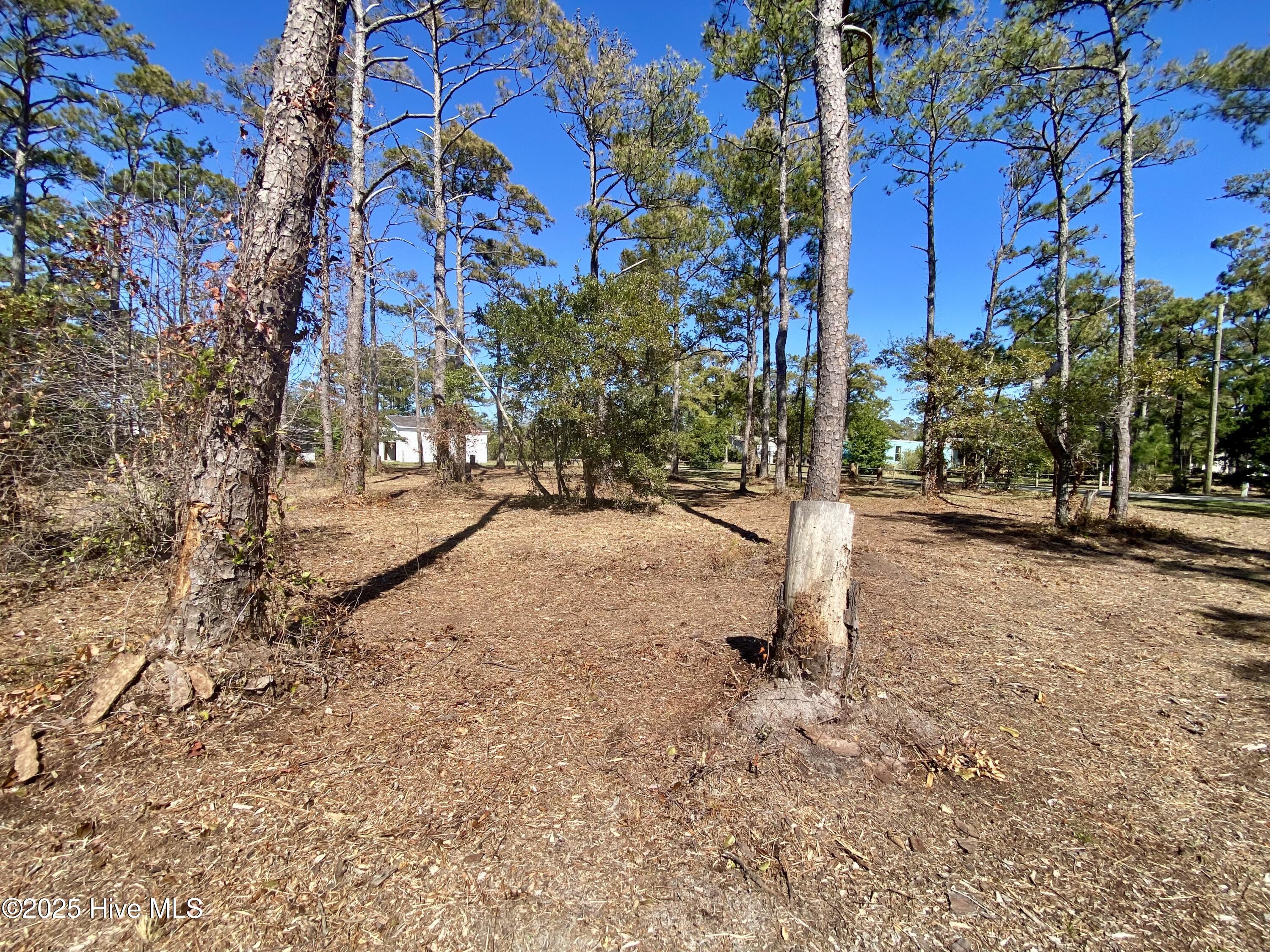 123 & 137 George Rose Lane Property Photo 10