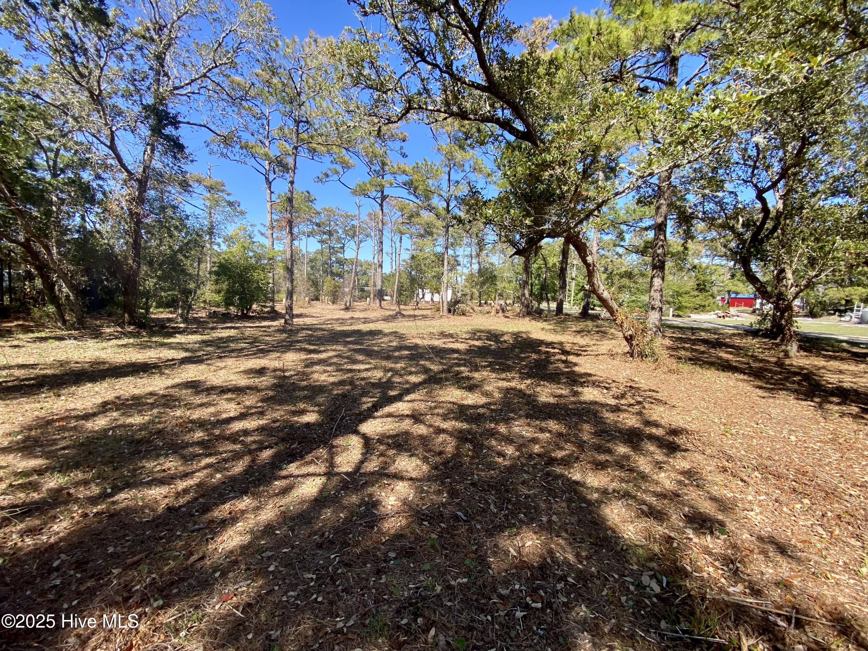 123 & 137 George Rose Lane Property Photo 11