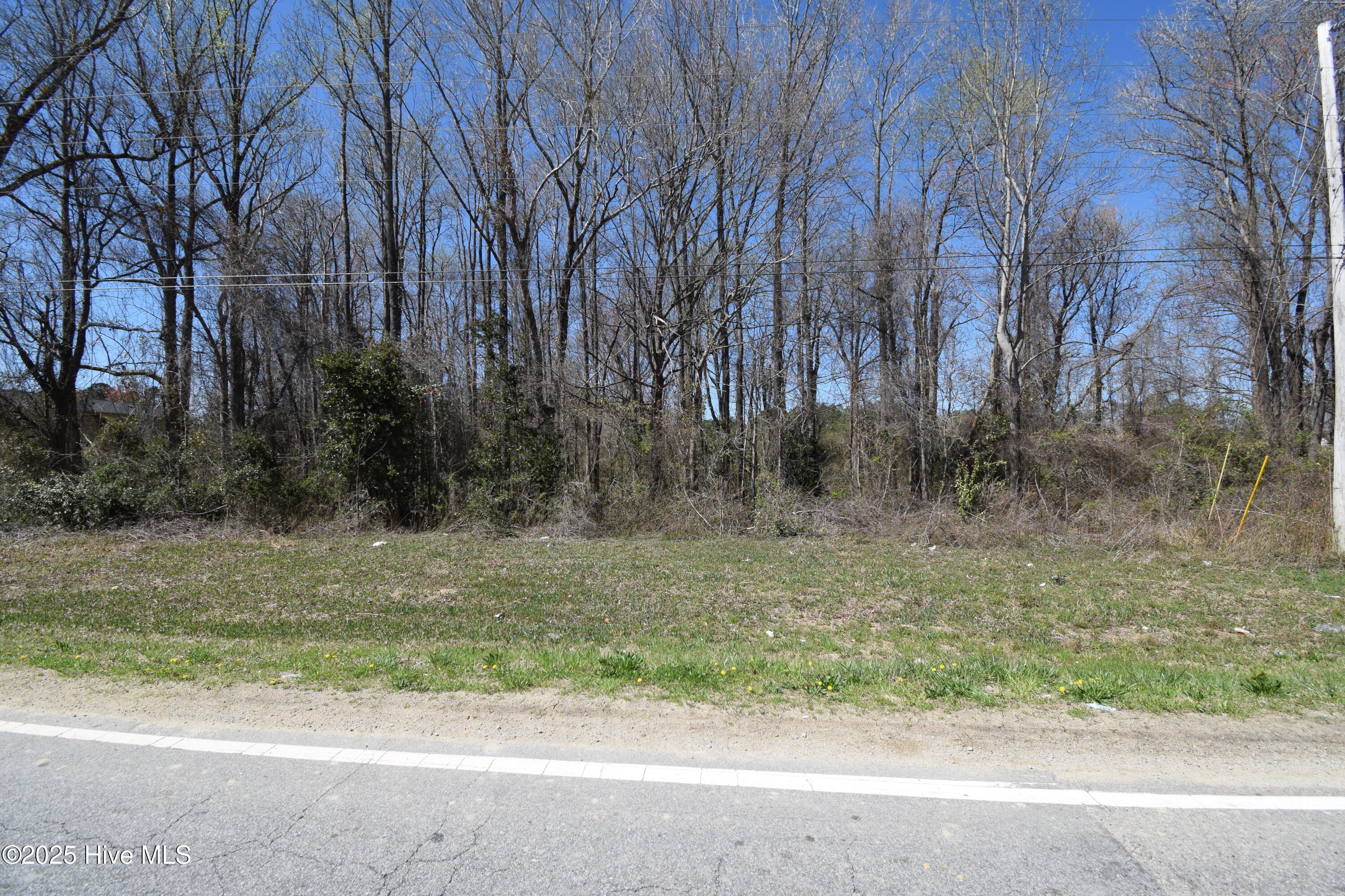 0 Williams Road Property Photo