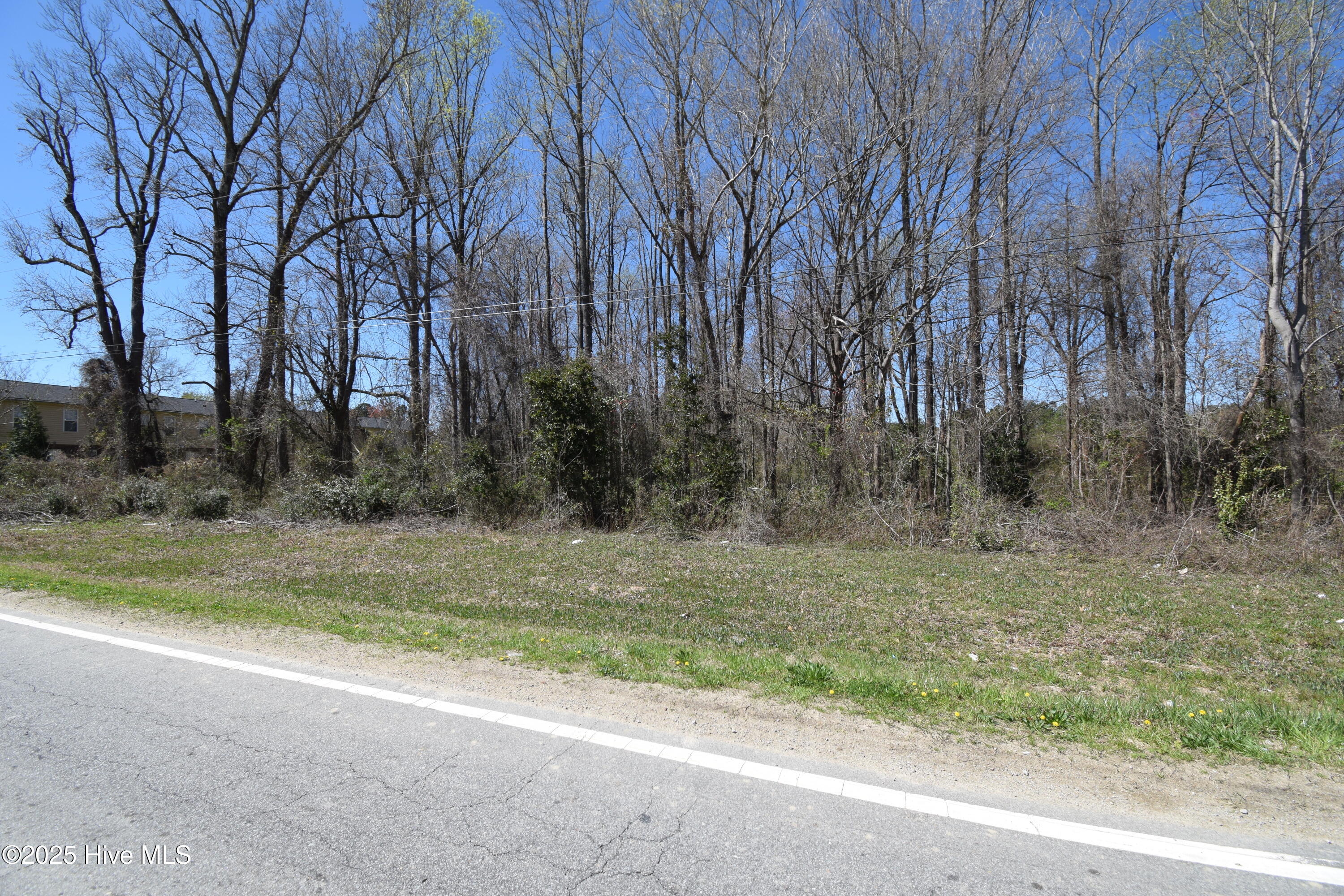 0 Williams Road Property Photo 2