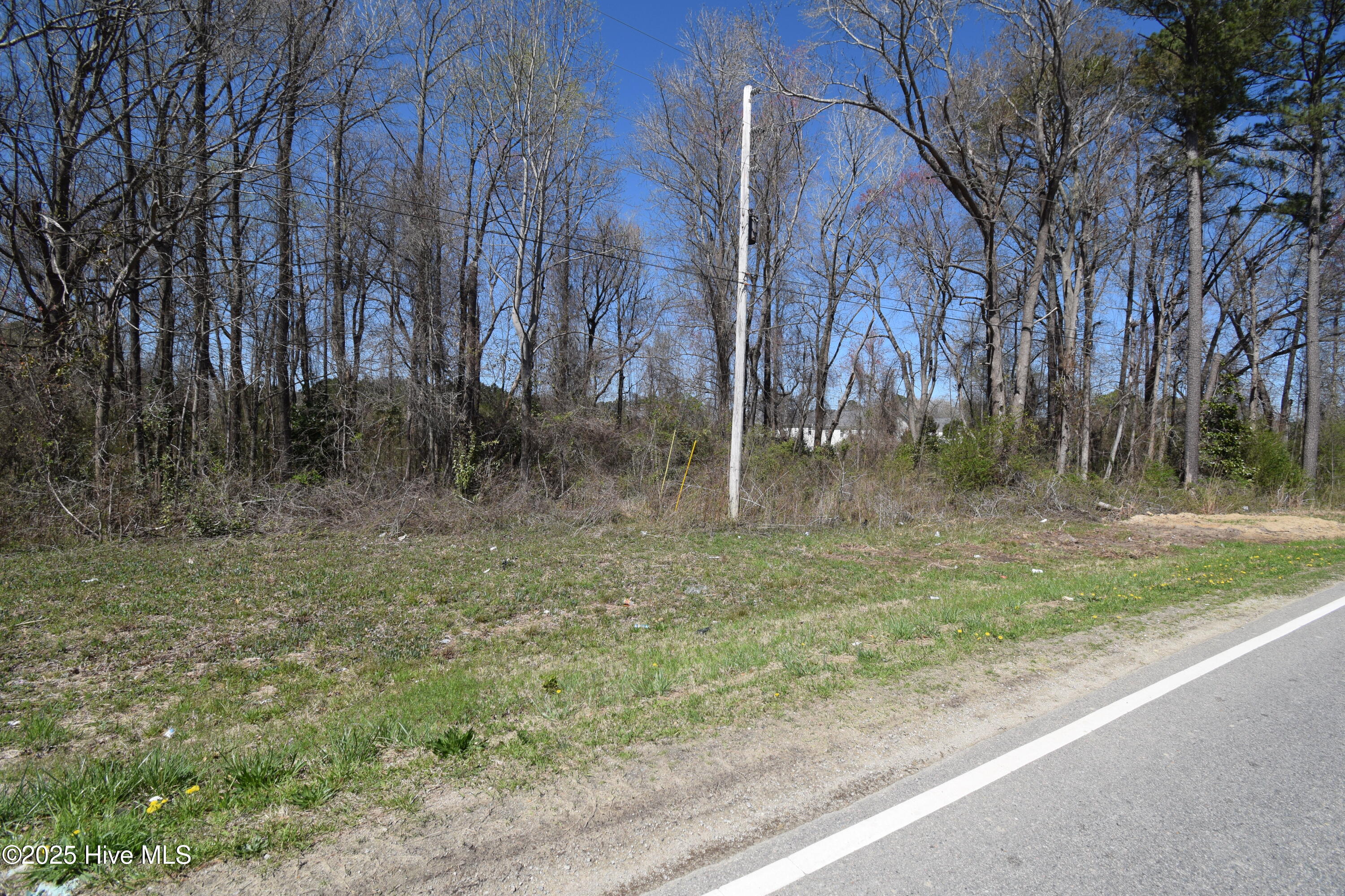 0 Williams Road Property Photo 3