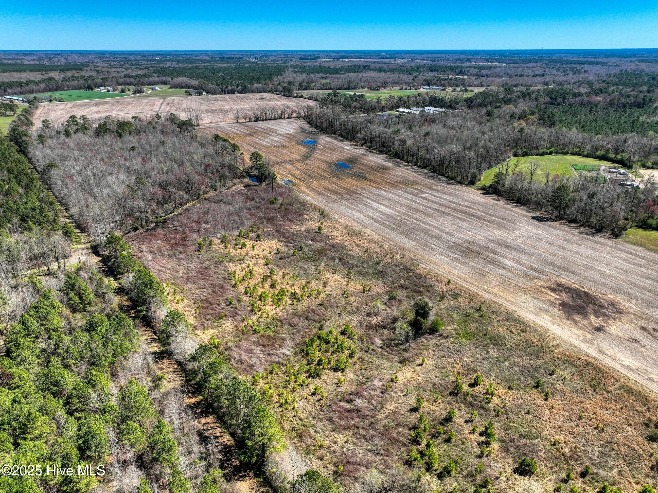 4.26 Ac Off 50 Property Photo 4