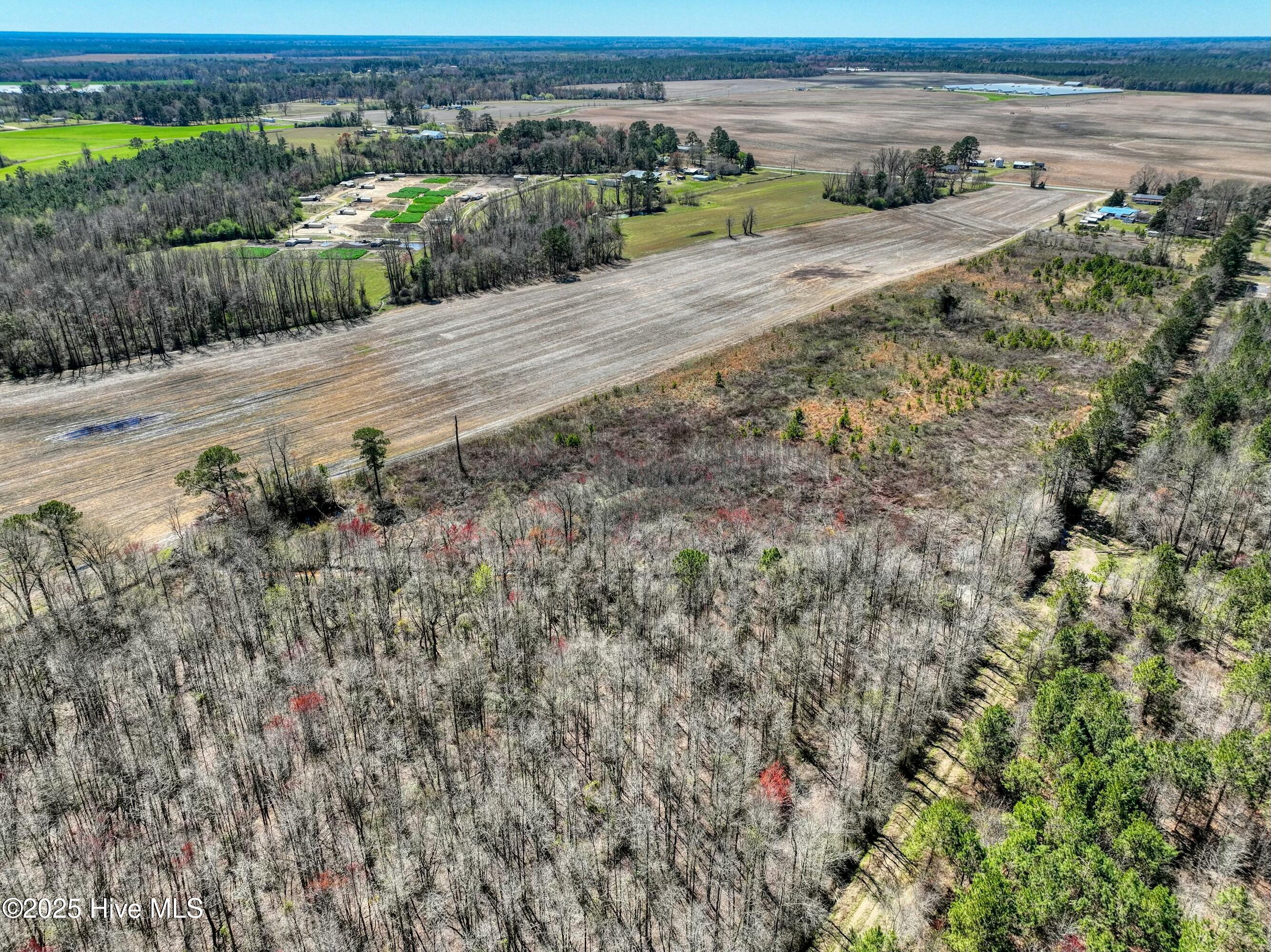 4.26 Ac Off 50 Property Photo 6