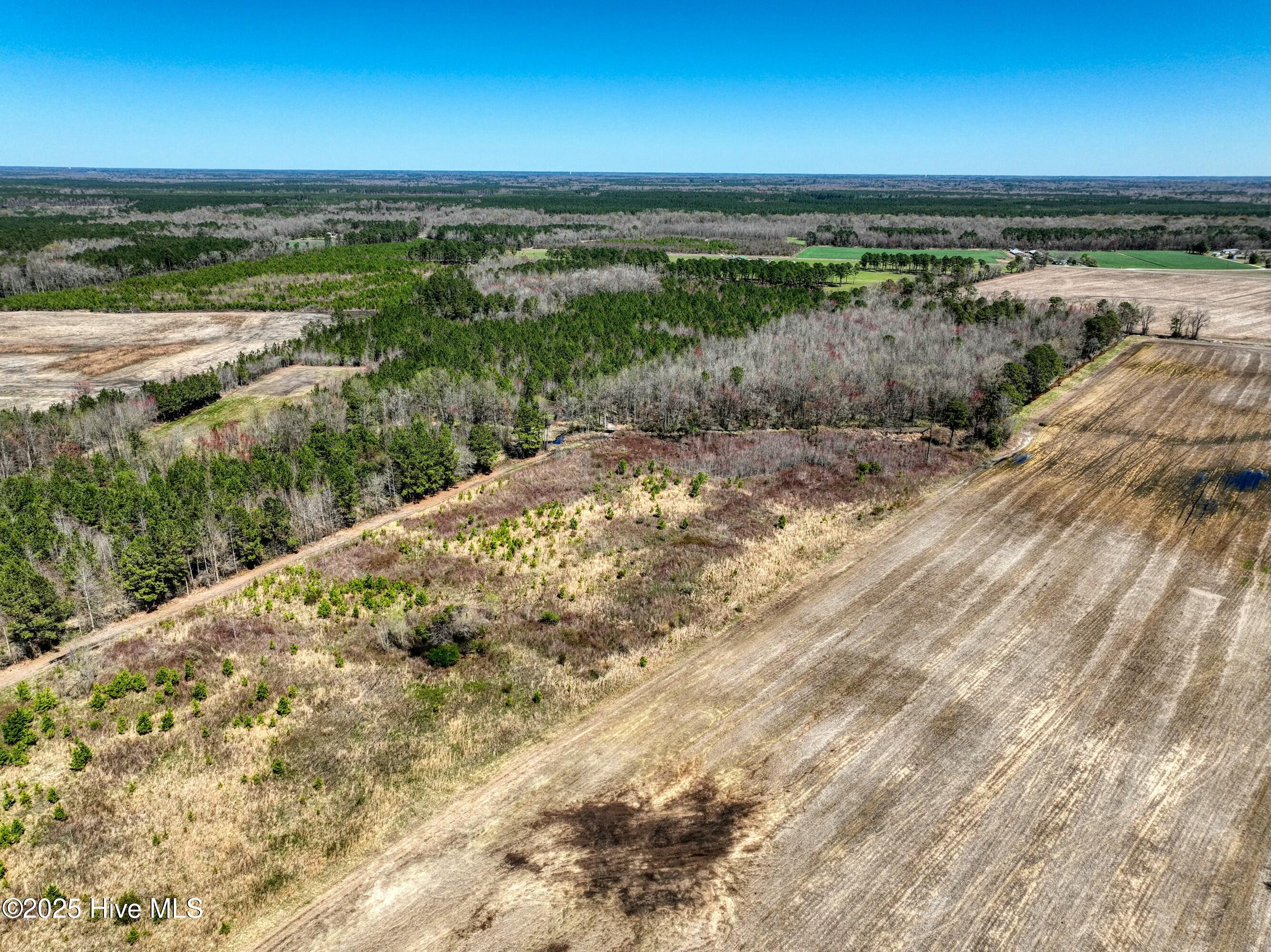 4.26 Ac Off 50 Property Photo 8
