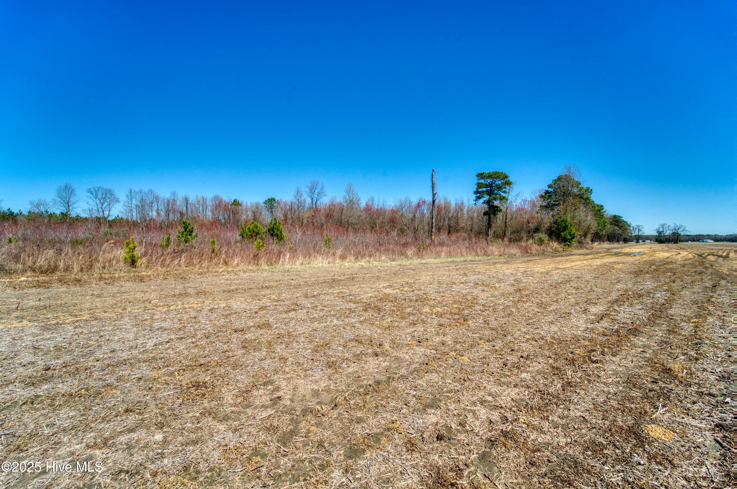 4.26 Ac Off 50 Property Photo 10