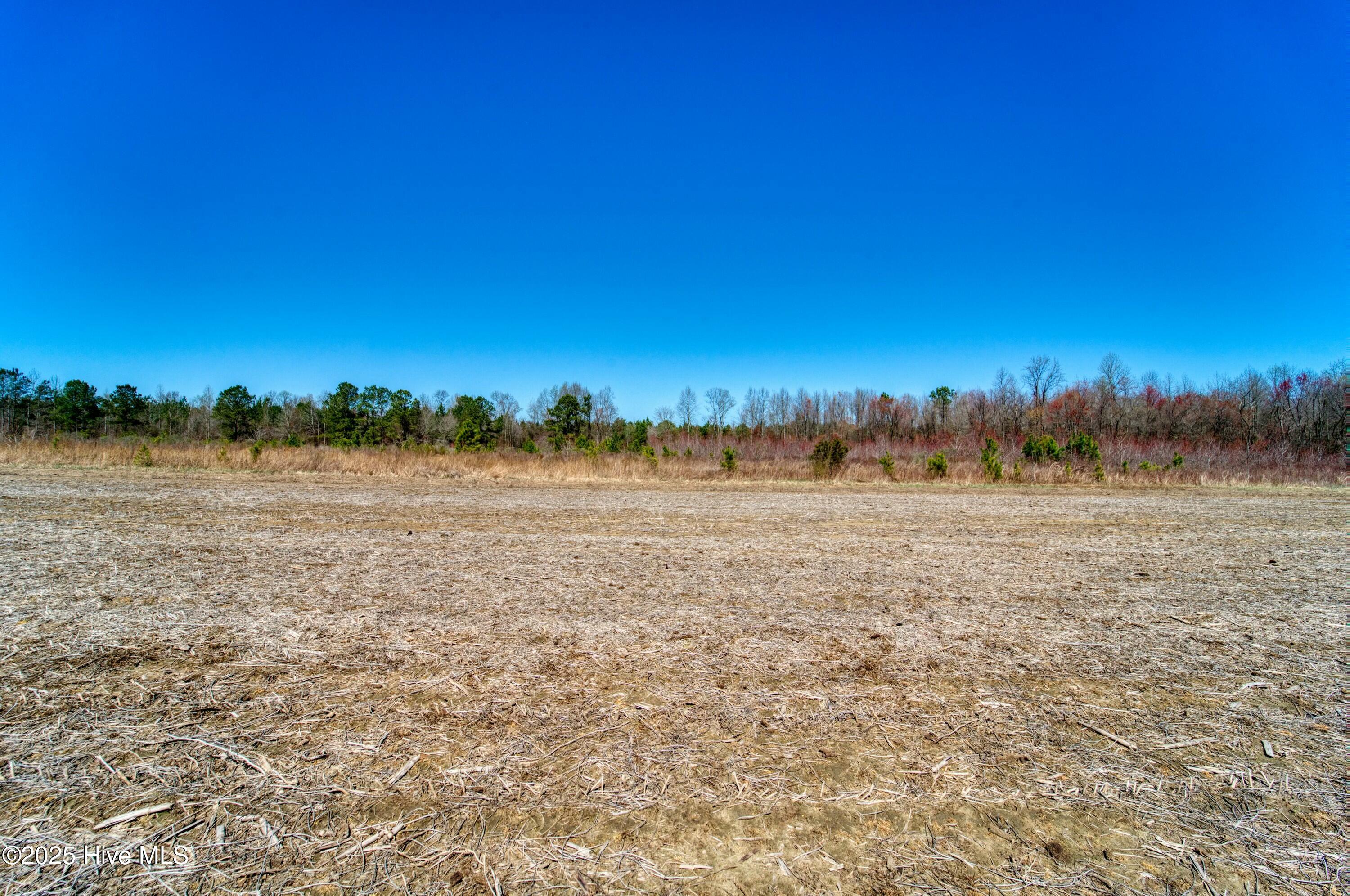 4.26 Ac Off 50 Property Photo 11