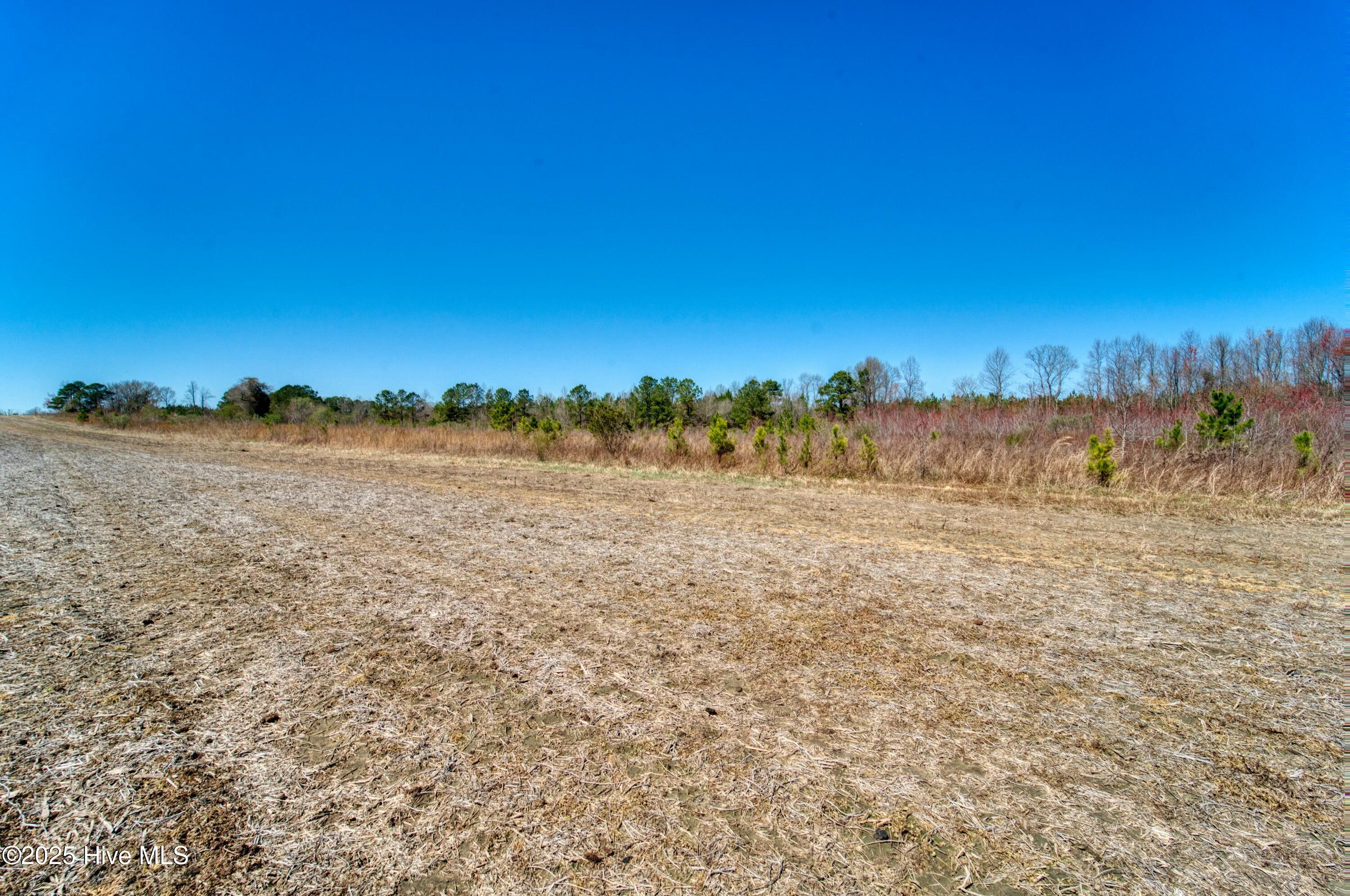 4.26 Ac Off 50 Property Photo 12