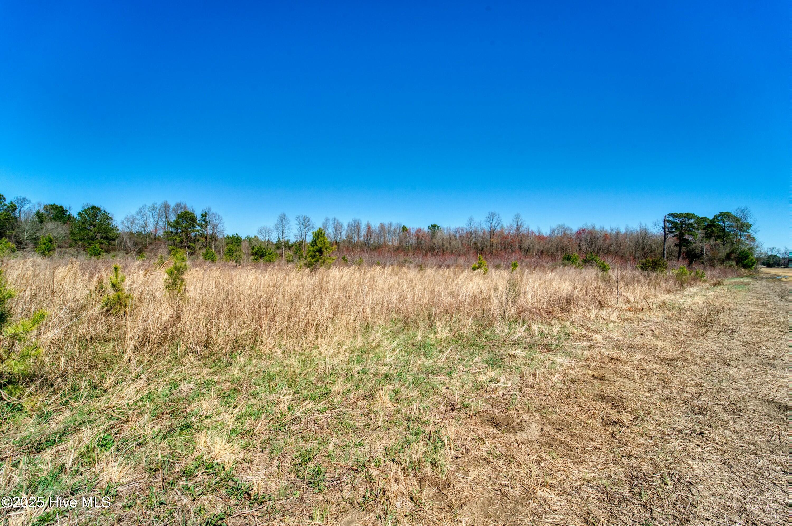 4.26 Ac Off 50 Property Photo 13