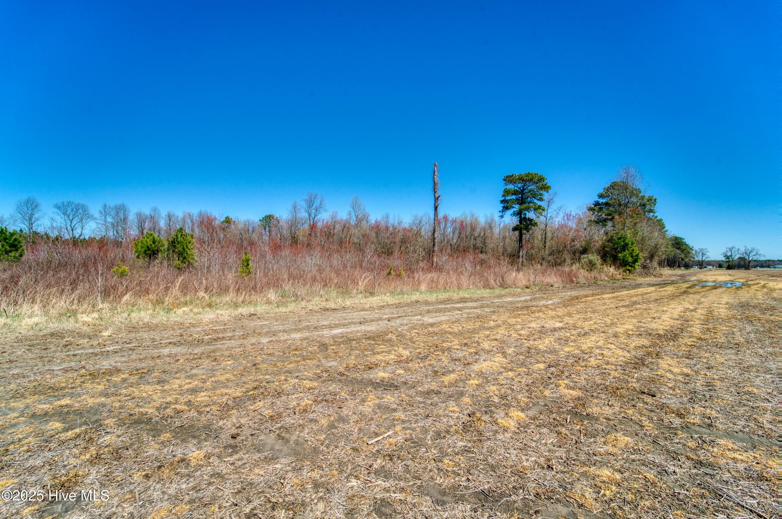 4.26 Ac Off 50 Property Photo 14
