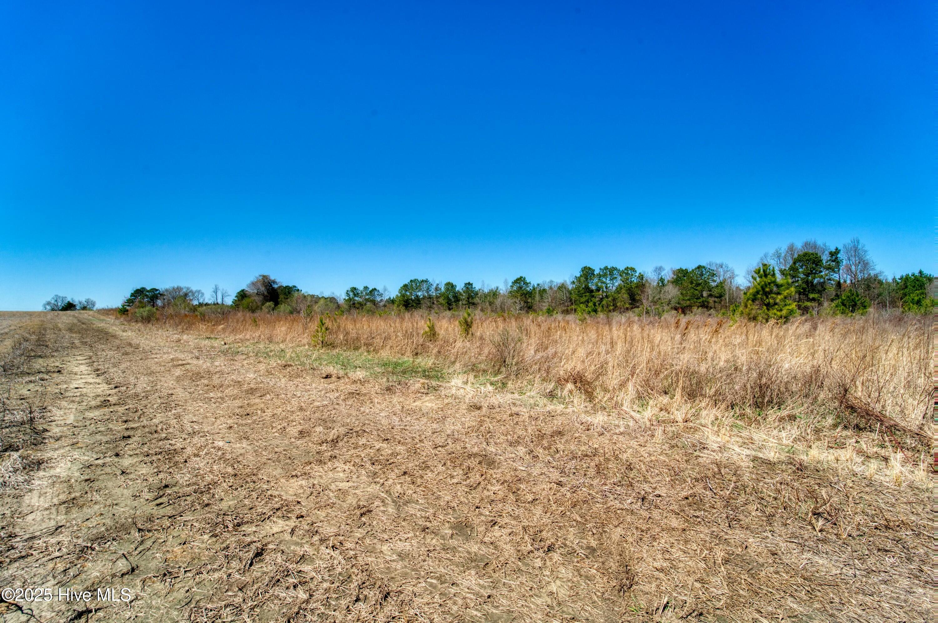 4.26 Ac Off 50 Property Photo 15