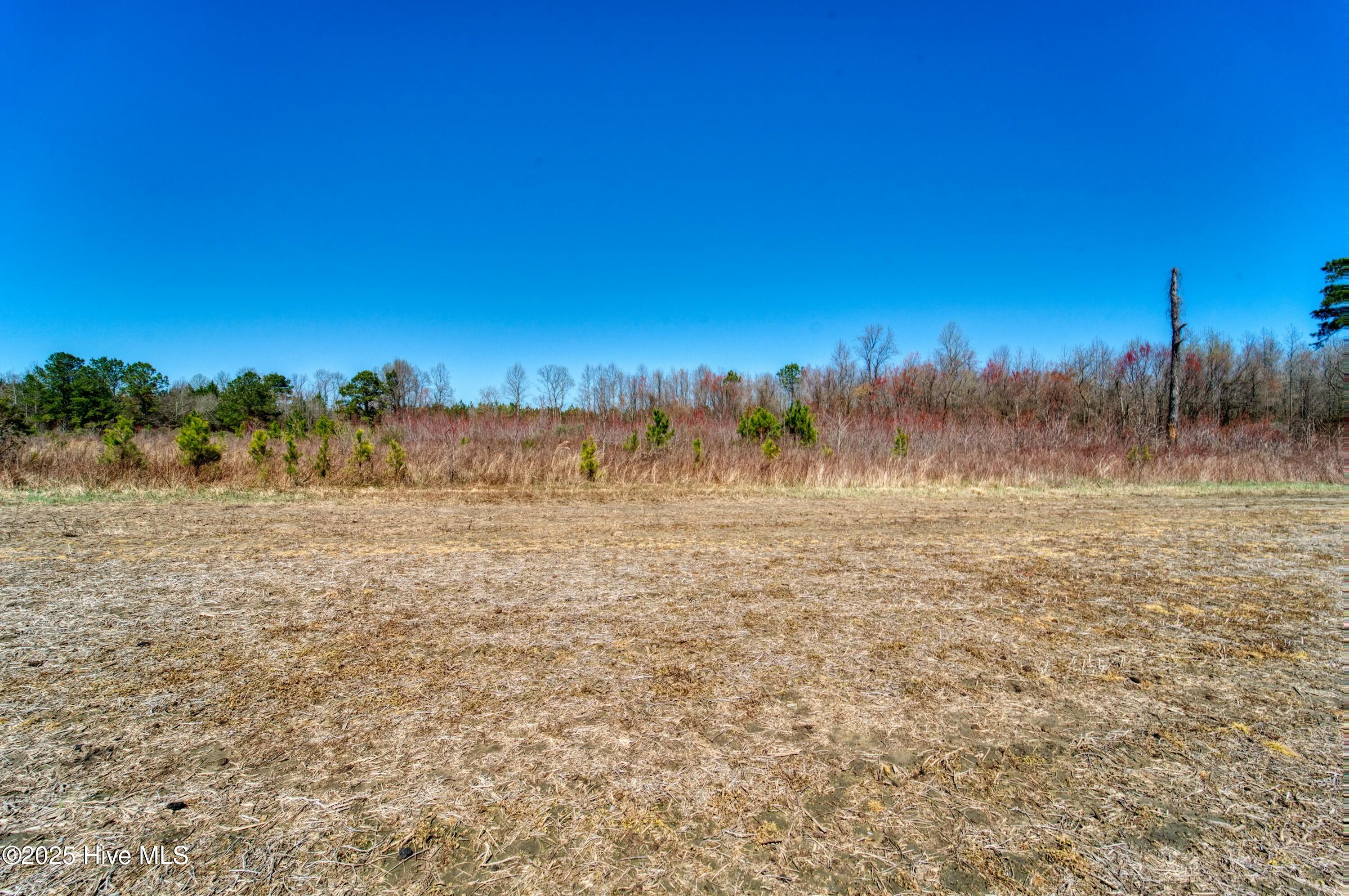 4.26 Ac Off 50 Property Photo 16