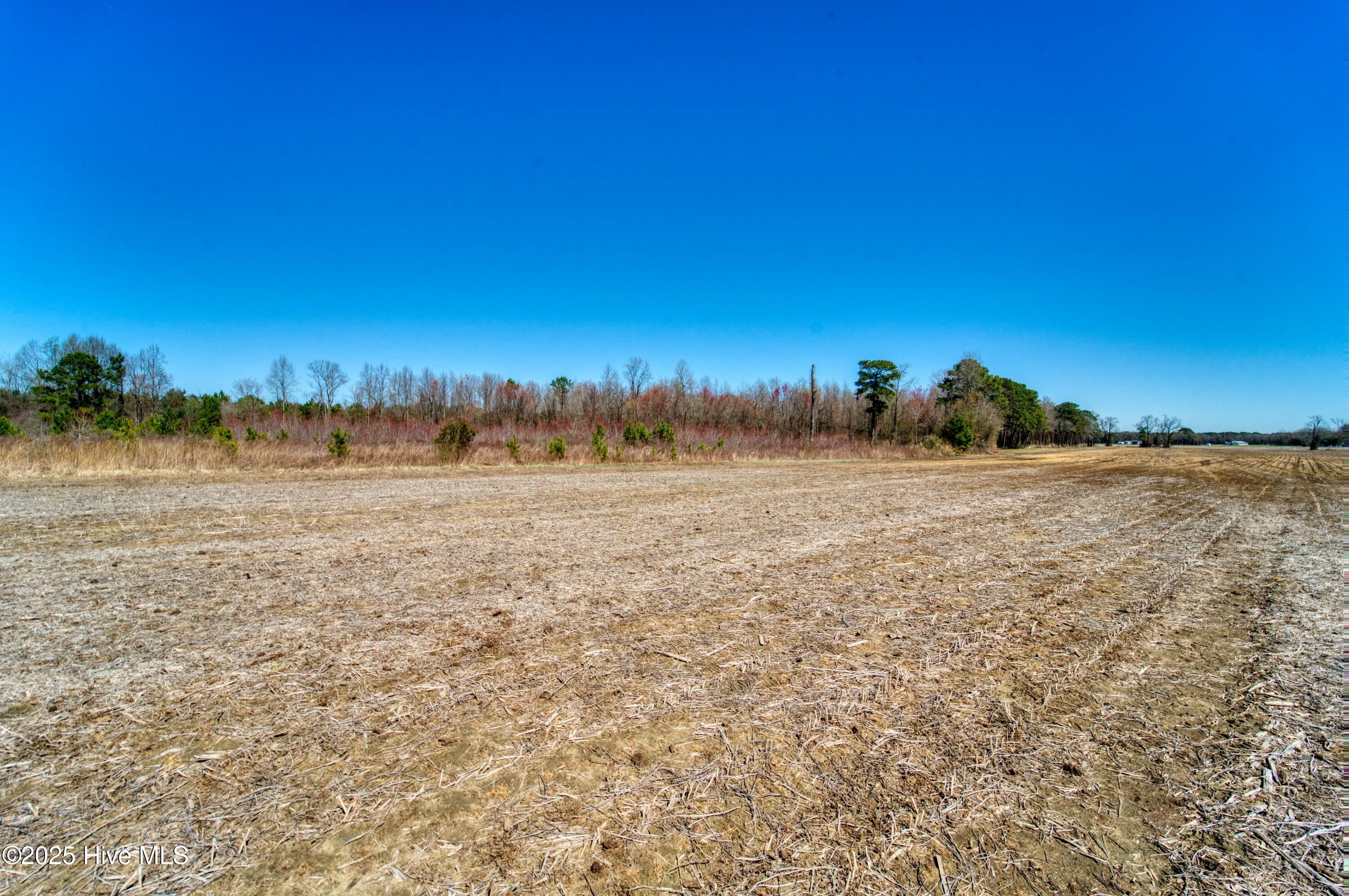 4.26 Ac Off 50 Property Photo 17