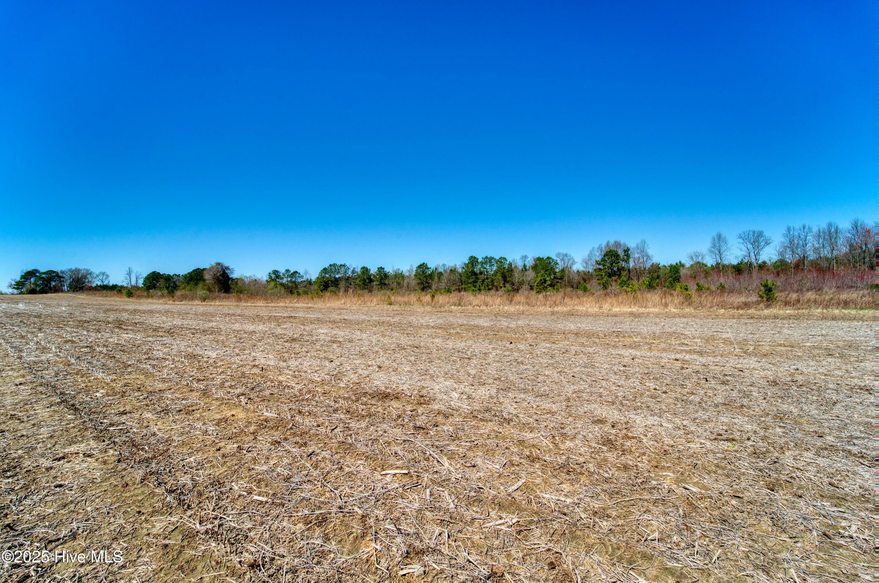 4.26 Ac Off 50 Property Photo 18