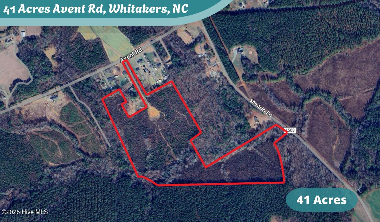 41 Acres Avent Road Property Photo