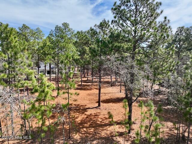 103 Chesterfield Drive Property Photo 13