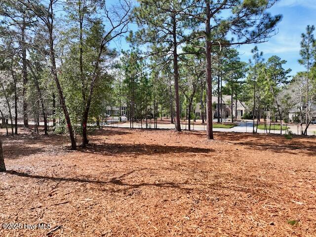 103 Chesterfield Drive Property Photo 18