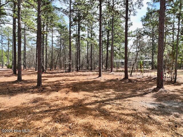 103 Chesterfield Drive Property Photo 19