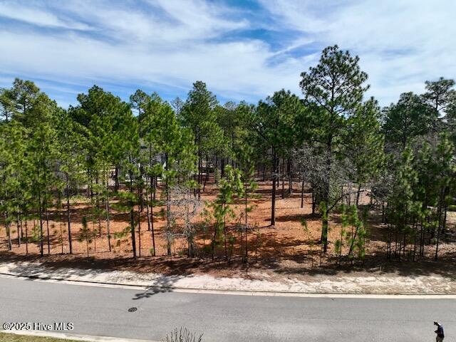 103 Chesterfield Drive Property Photo 20