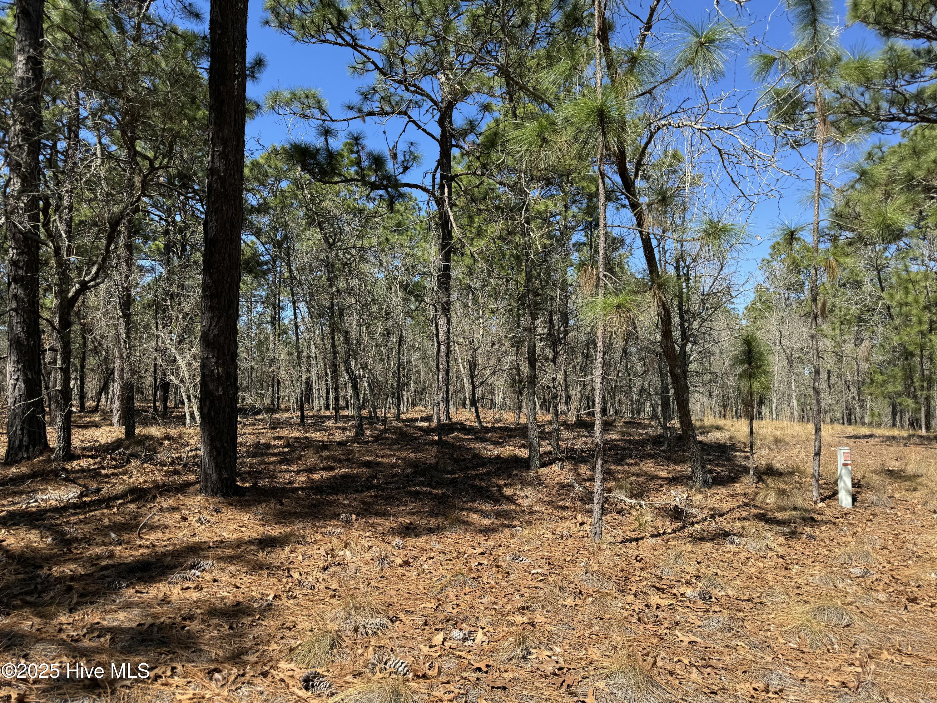 465 Roundabout Road Property Photo