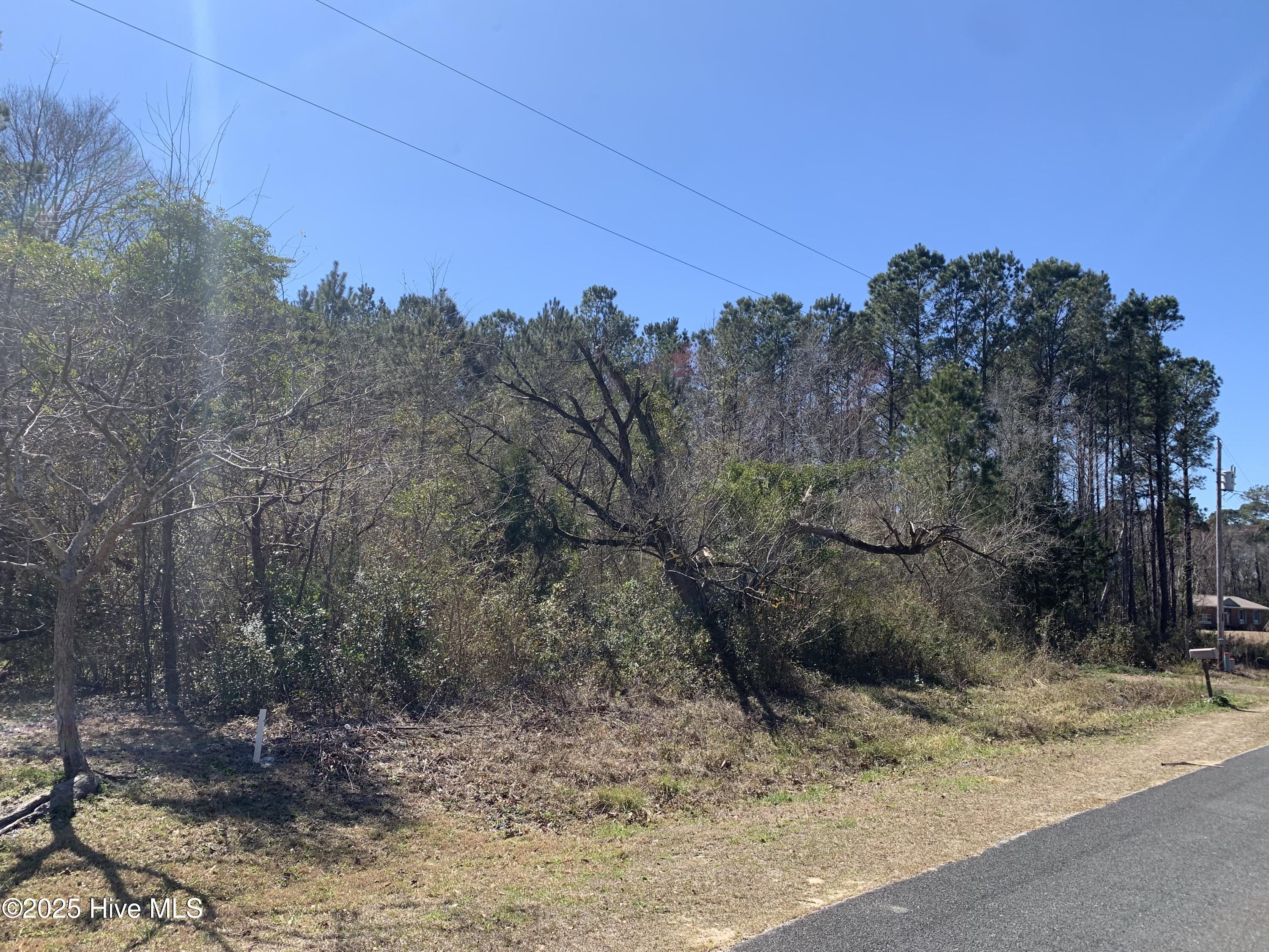 280 Long Leaf Hills Drive Property Photo 2