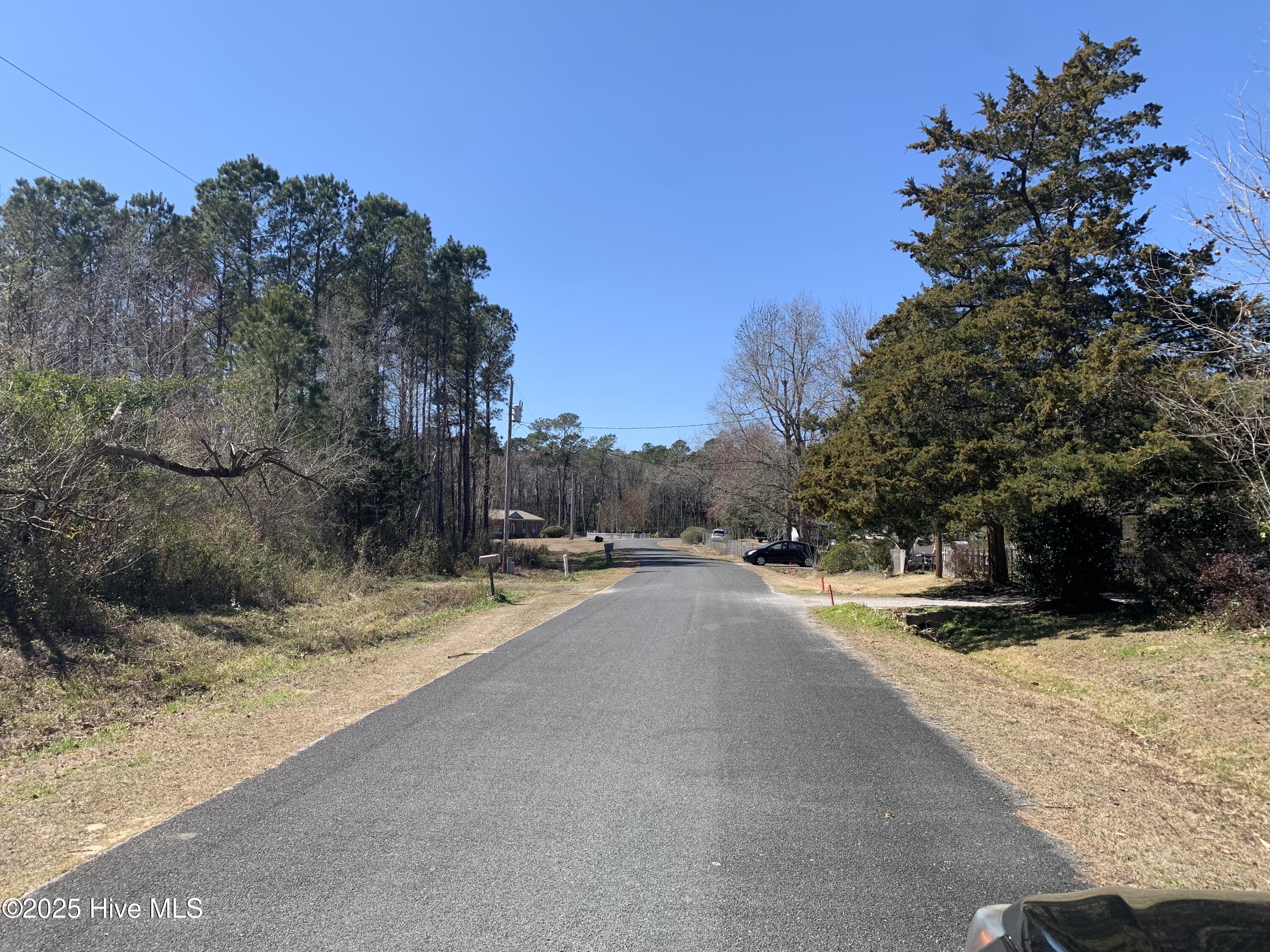280 Long Leaf Hills Drive Property Photo 3