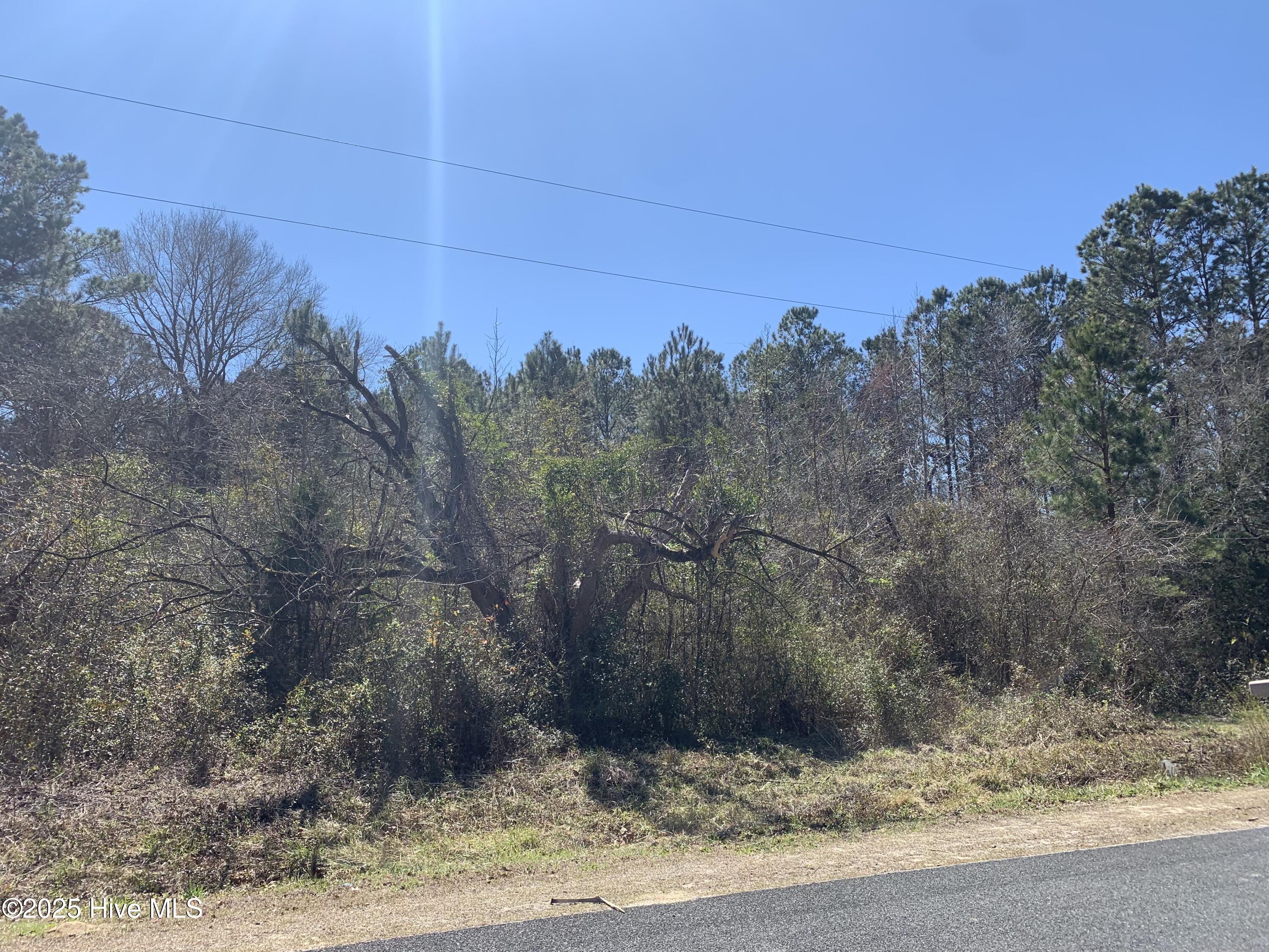 280 Long Leaf Hills Drive Property Photo 4
