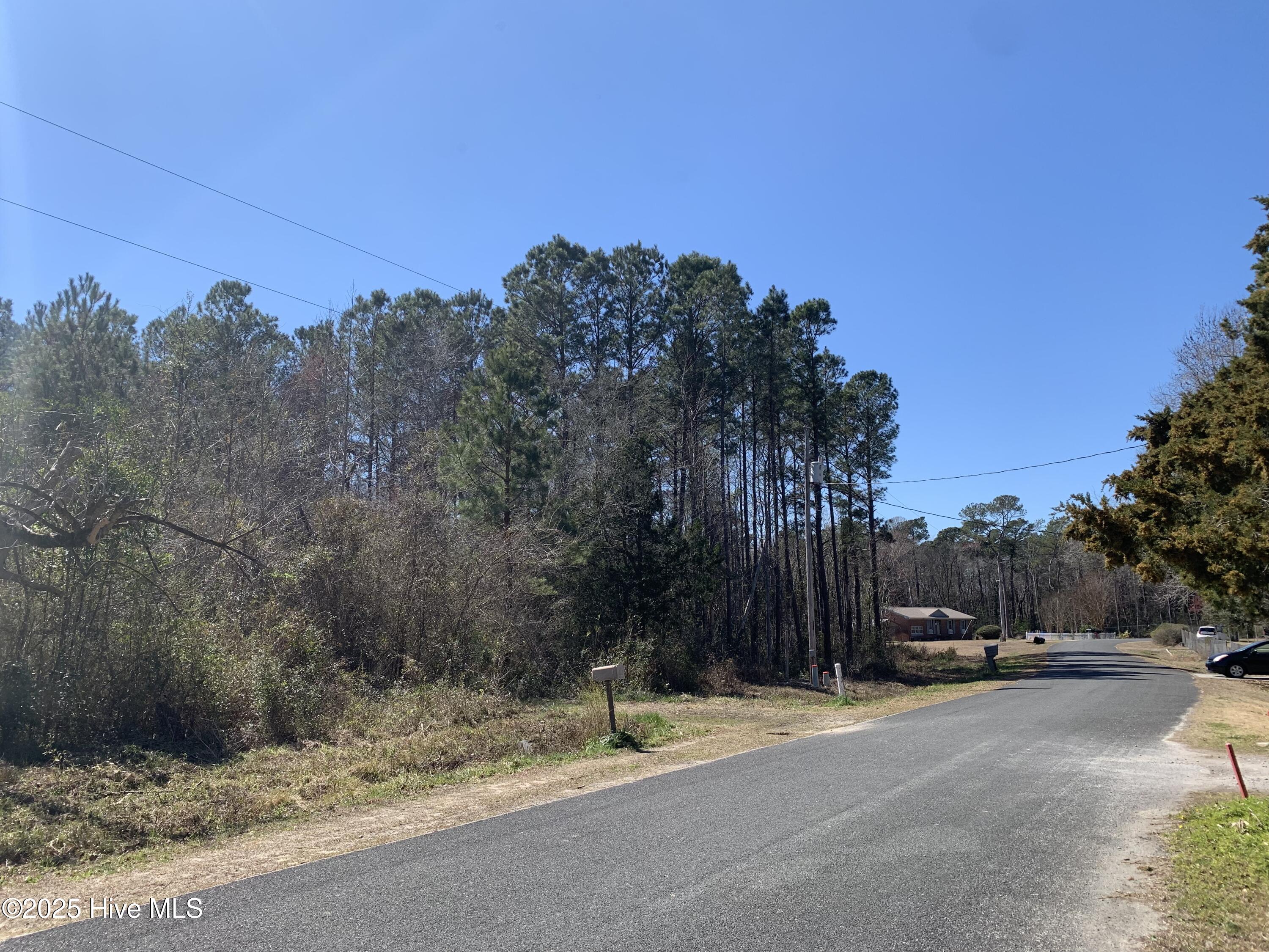 280 Long Leaf Hills Drive Property Photo 5