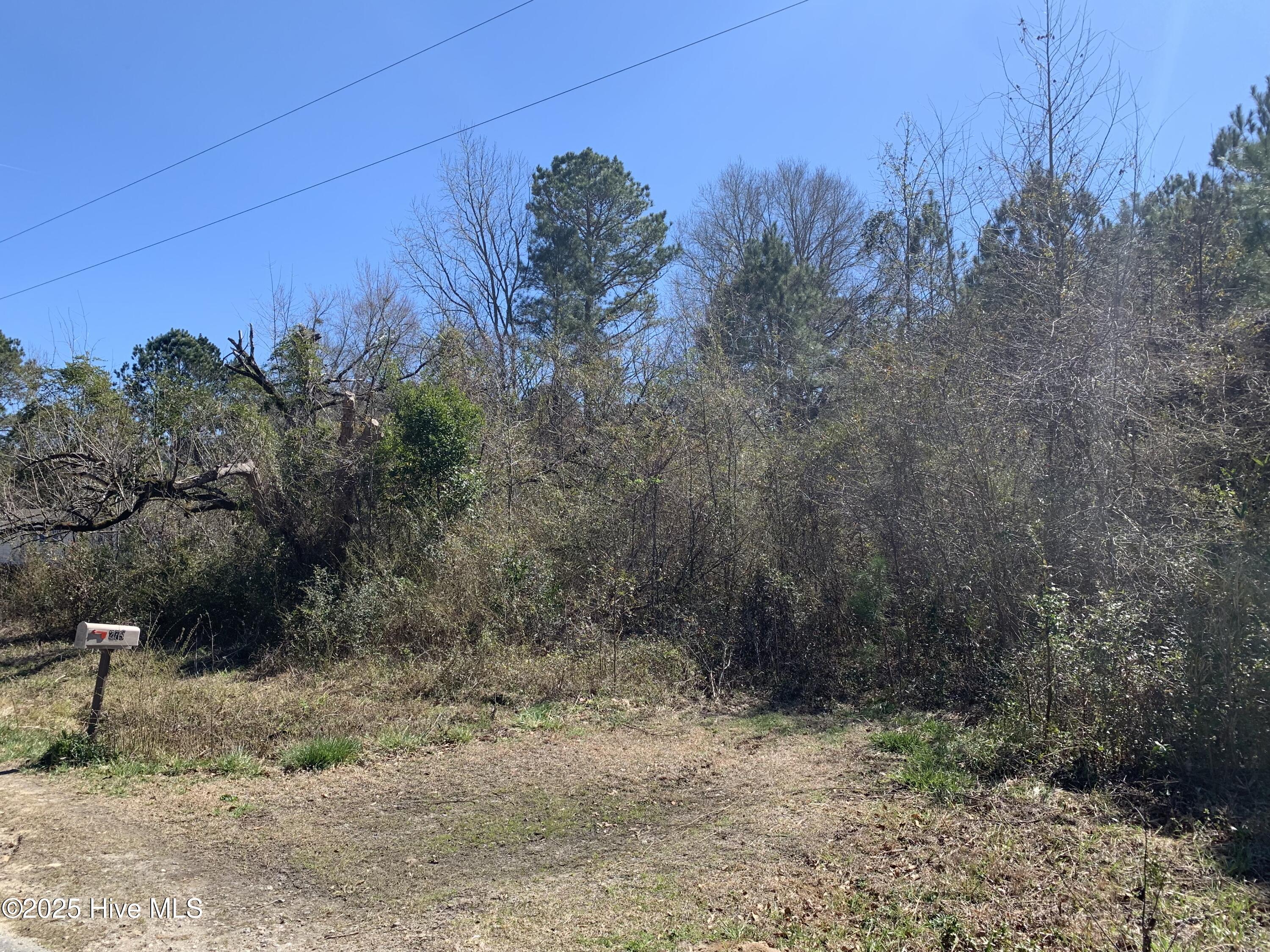 280 Long Leaf Hills Drive Property Photo 6