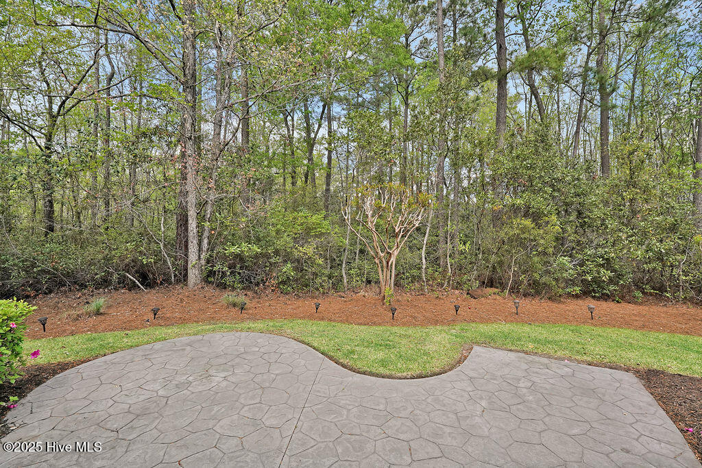 1336 Cape Fear National Drive Property Photo 41