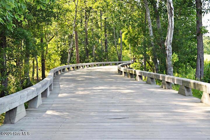 1336 Cape Fear National Drive Property Photo 54