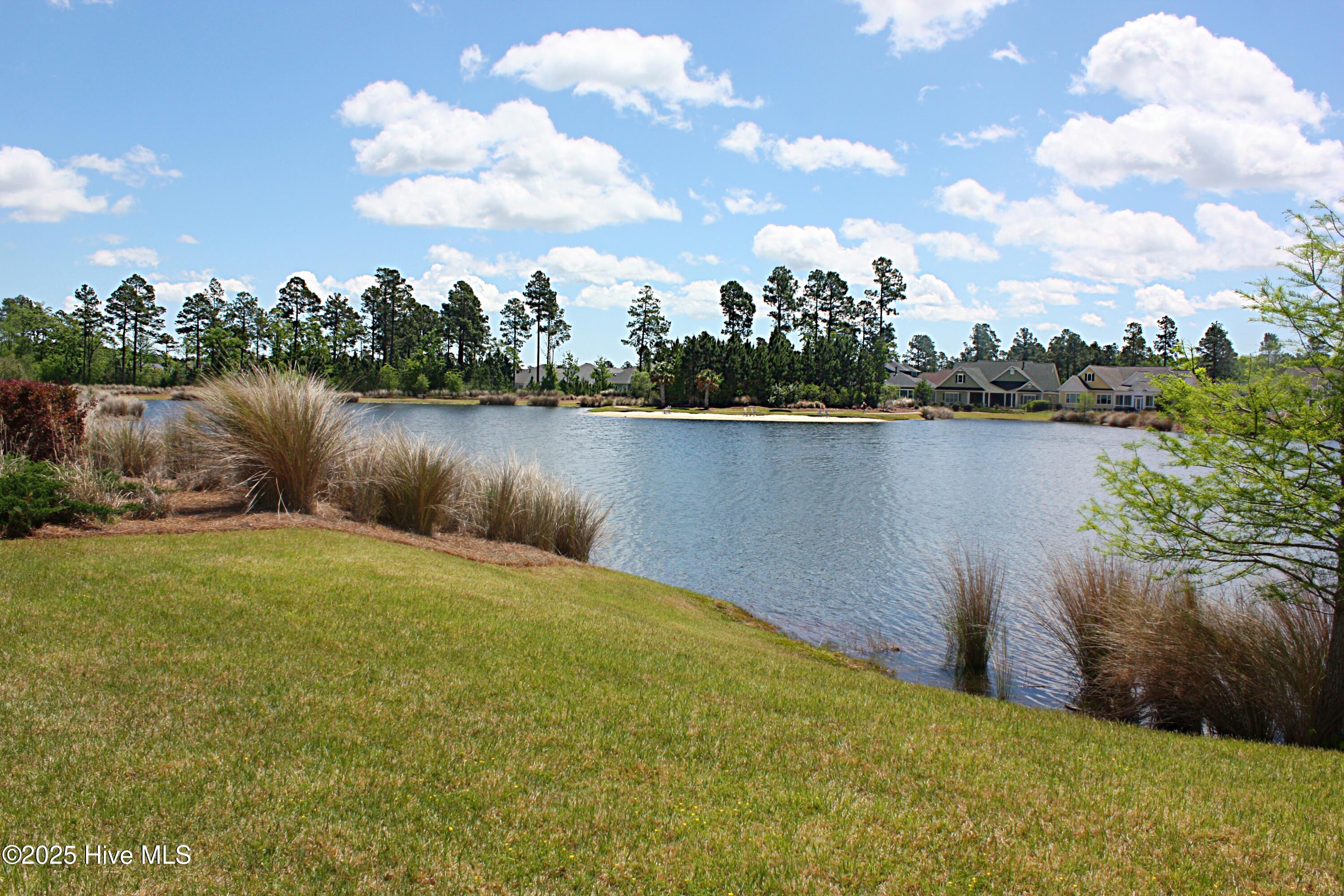 1336 Cape Fear National Drive Property Photo 62
