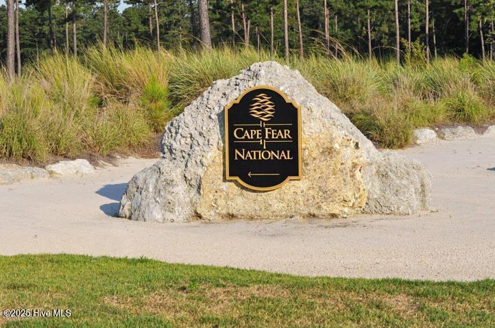 1336 Cape Fear National Drive Property Photo 67