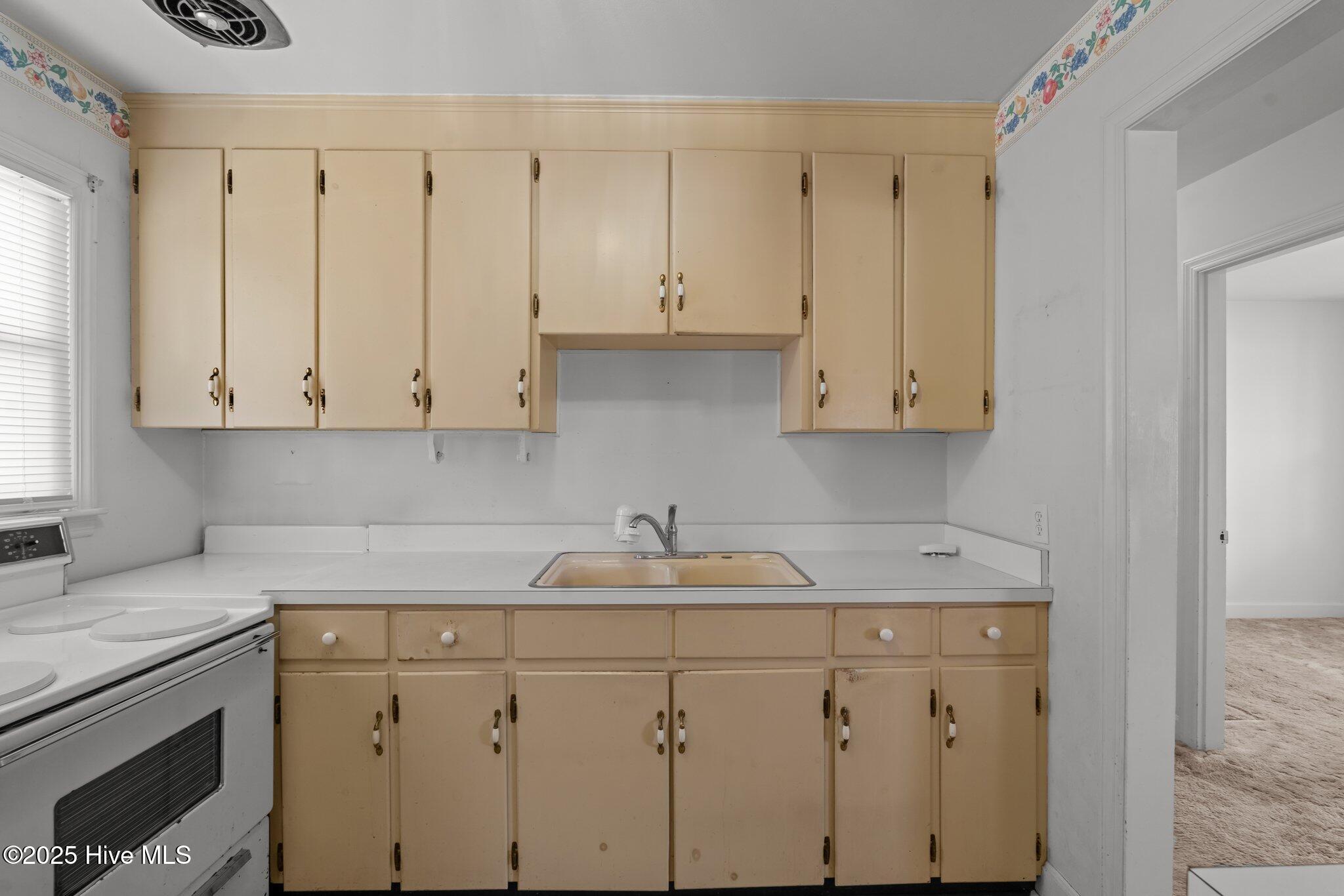 117 Elba Street Property Photo 4