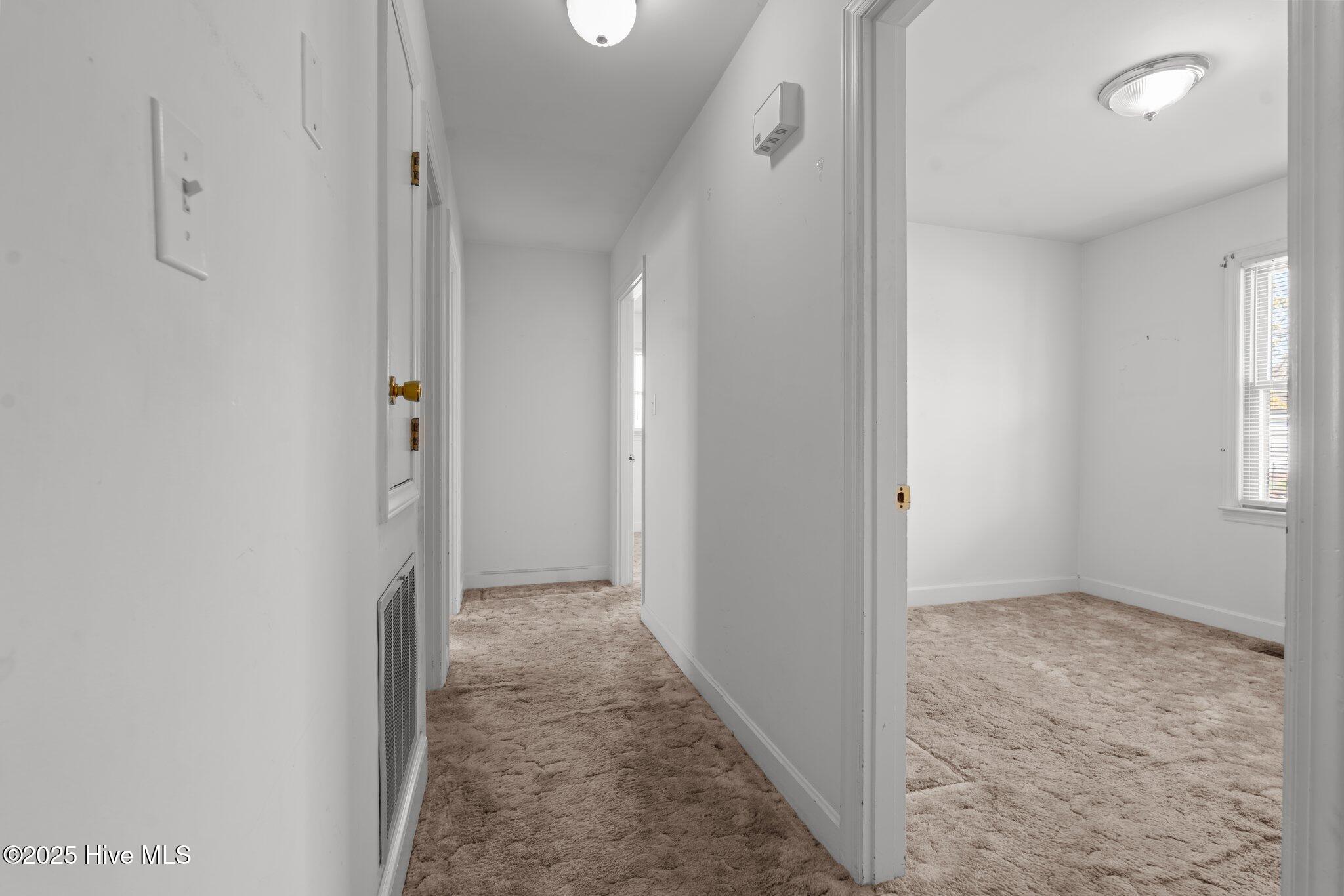 117 Elba Street Property Photo 12