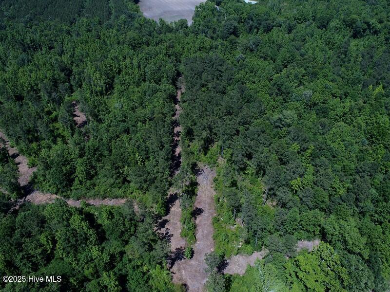 Tbd Near 5214 Andrew Jac Property Photo 3