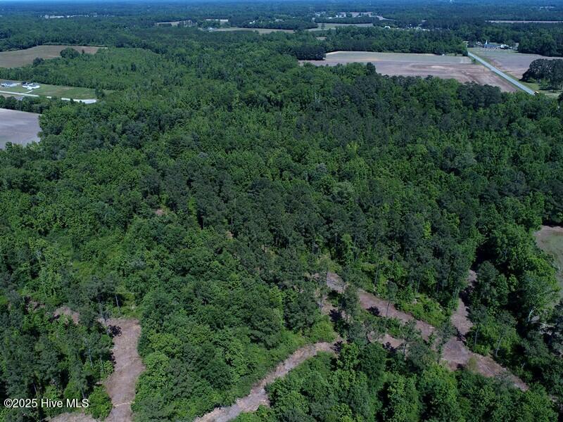 Tbd Near 5214 Andrew Jac Property Photo 4
