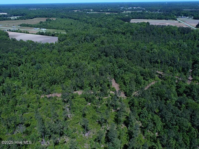 Tbd Near 5214 Andrew Jac Property Photo 5