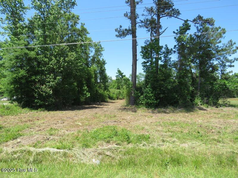 Tbd Near 5214 Andrew Jac Property Photo 6