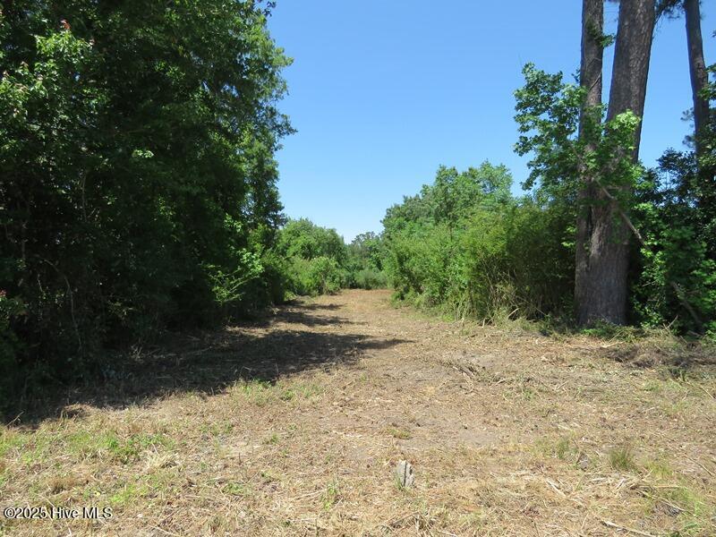 Tbd Near 5214 Andrew Jac Property Photo 8