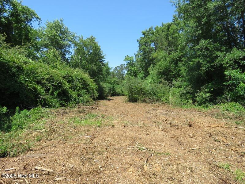 Tbd Near 5214 Andrew Jac Property Photo 9