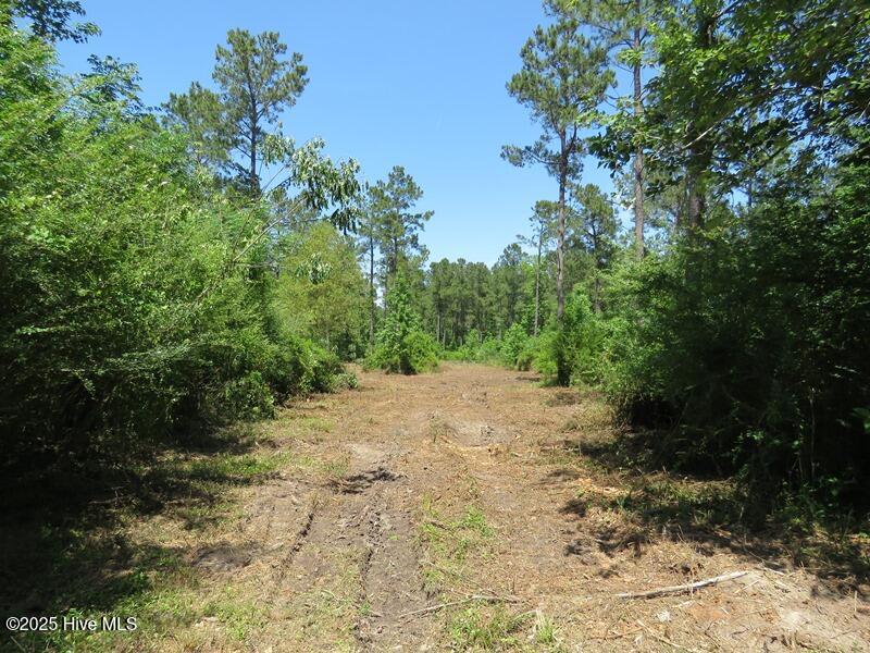 Tbd Near 5214 Andrew Jac Property Photo 10