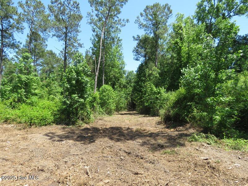 Tbd Near 5214 Andrew Jac Property Photo 11