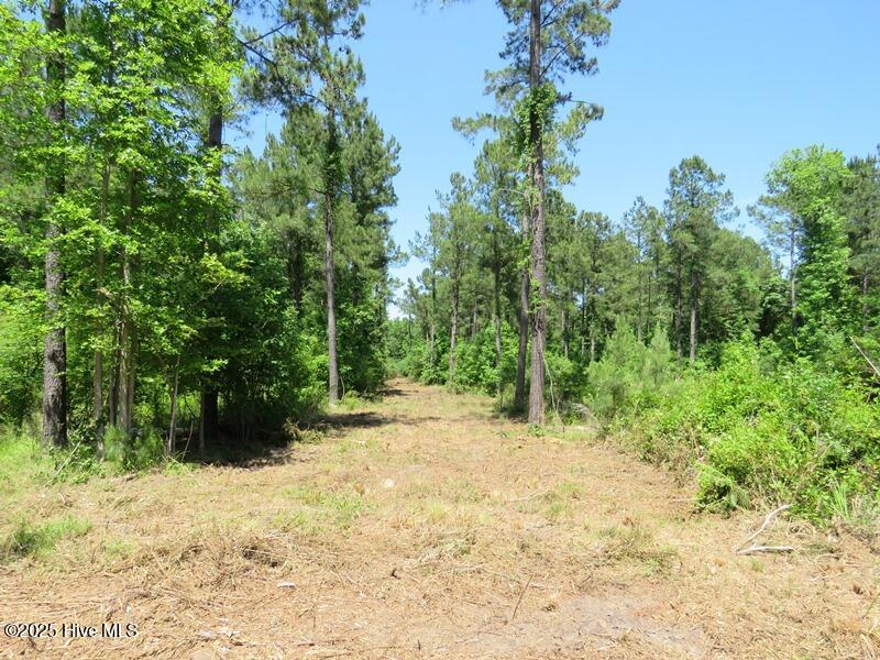 Tbd Near 5214 Andrew Jac Property Photo 12